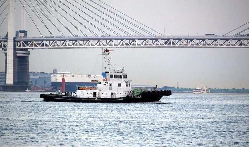 KASUGA MARU General Cargo IMO 9094470 photo 6
