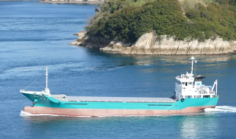 HAKUSHIN MARU General Cargo IMO 9094597 photo 6