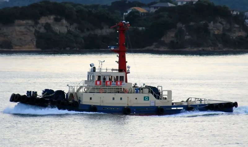 HOSHO General Cargo IMO 9094638 photo 8