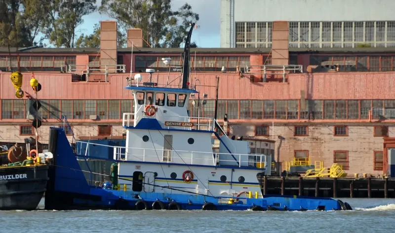 CHIEF General Cargo IMO 9094896 photo 7