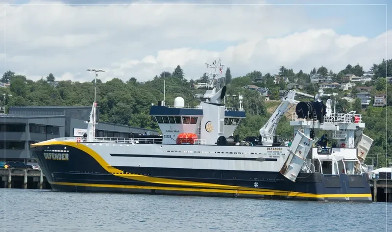 DEFENDER General Cargo IMO 9095008 photo 4