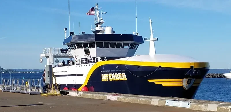 DEFENDER General Cargo IMO 9095008 photo 5