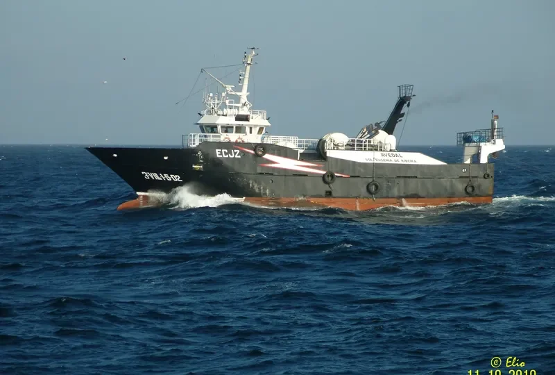 AVEDAL General Cargo IMO 9095242 photo 4