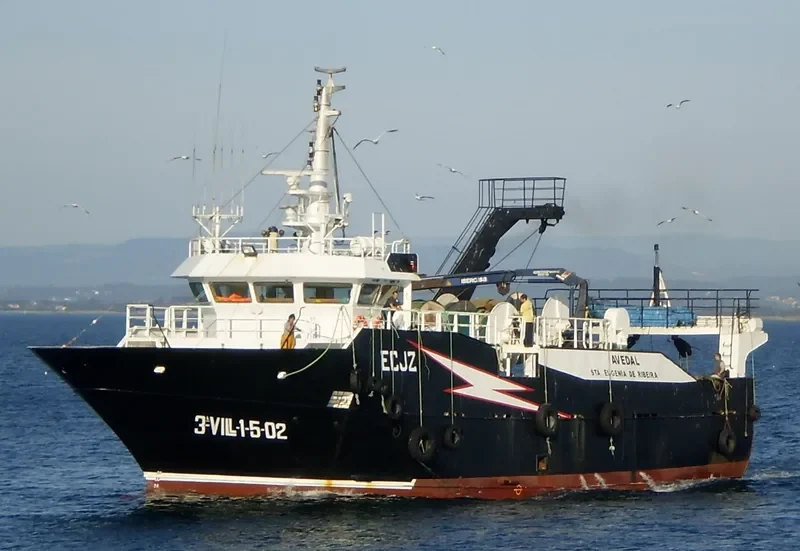 AVEDAL General Cargo IMO 9095242 photo 5
