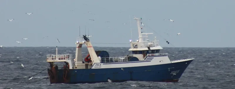 ZILLARRI General Cargo IMO 9095266