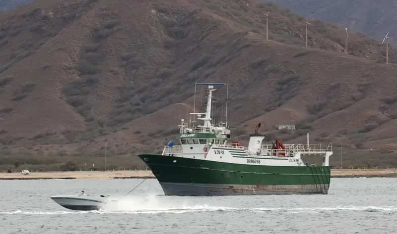 ZILLARRI General Cargo IMO 9095266 photo 5