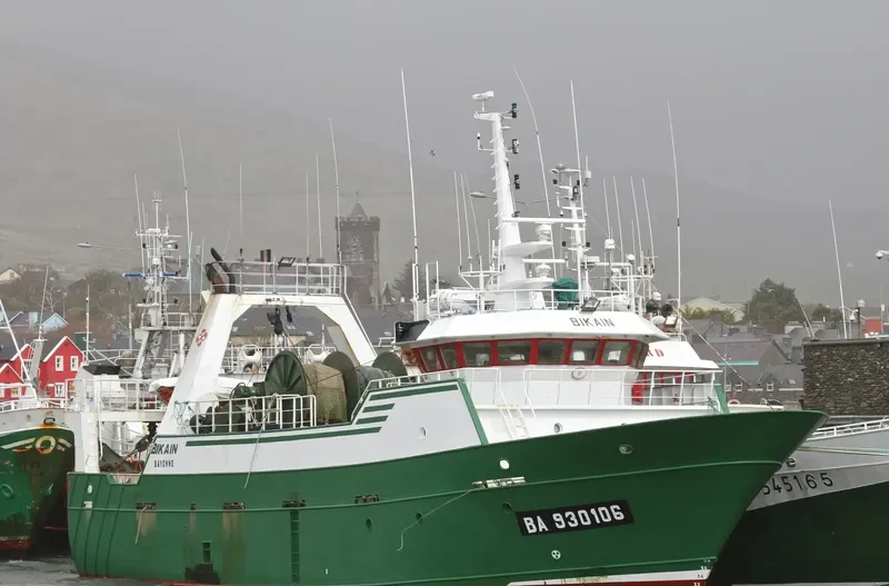 BIKAIN General Cargo IMO 9095333