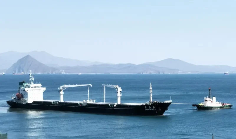 DONG HONG 8 General Cargo IMO 9095395