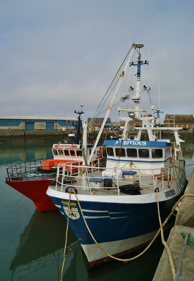 AMBITIOUS General Cargo IMO 9095539