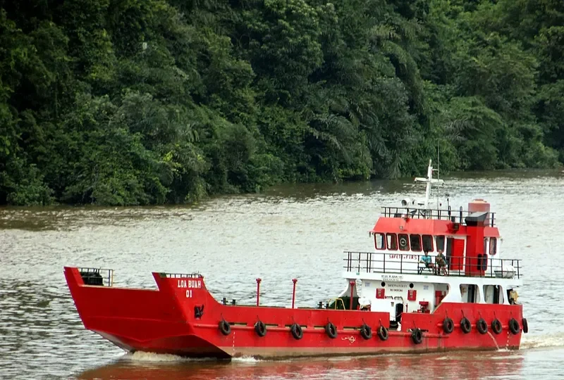 LOA BUAH 01 General Cargo IMO 9096052 photo 3