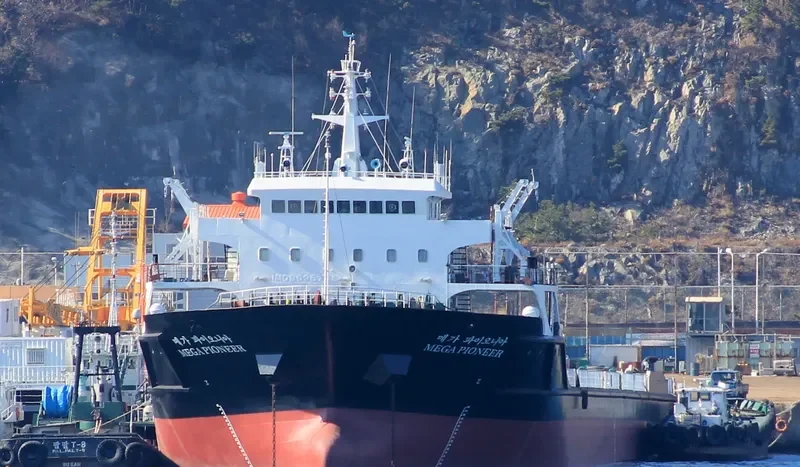 MEGA PIONEER General Cargo IMO 9096765