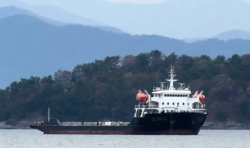 MEGA PIONEER General Cargo IMO 9096765 photo 3