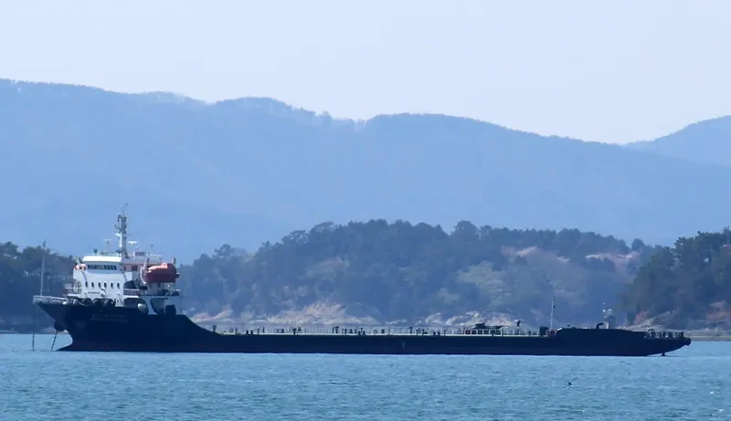 MEGA PIONEER General Cargo IMO 9096765 photo 4