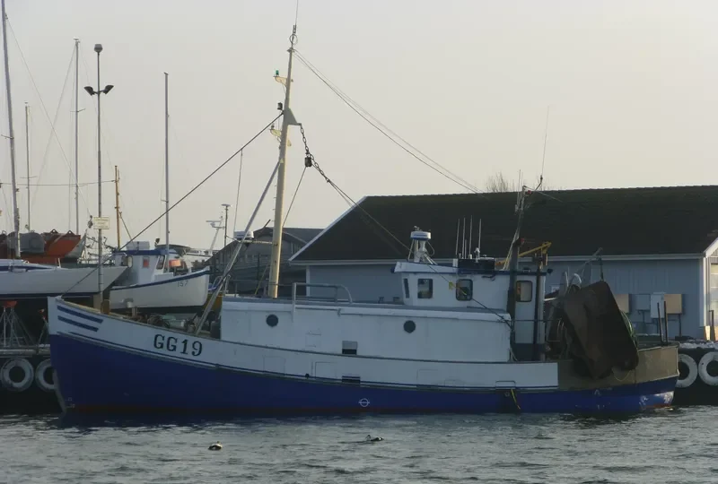 CLINTON General Cargo IMO 9096806 photo 6