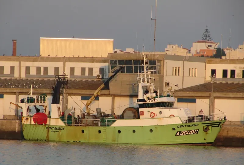 CENTAURUS General Cargo IMO 9096856 photo 7