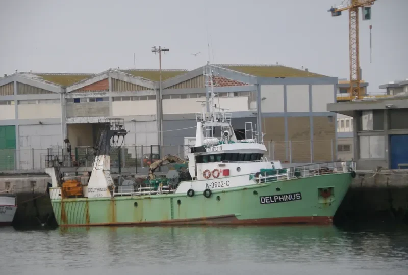 DELPHINUS General Cargo IMO 9096868 photo 3