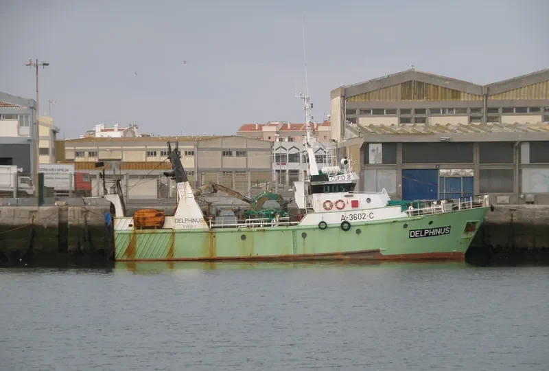 DELPHINUS General Cargo IMO 9096868 photo 6