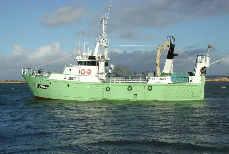 DELPHINUS General Cargo IMO 9096868 photo 10