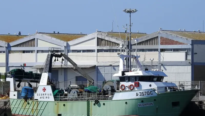 SCORPIUS General Cargo IMO 9096882