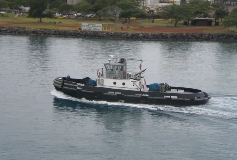 TIGER 5 General Cargo IMO 9097587 photo 6