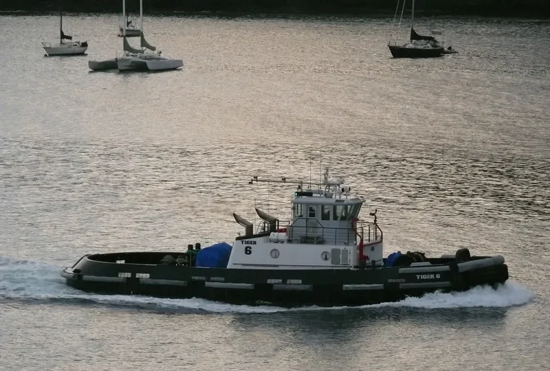 TIGER 6 General Cargo IMO 9097599 photo 3