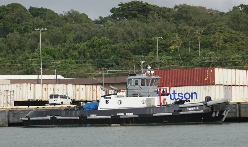 TIGER 6 General Cargo IMO 9097599 photo 8