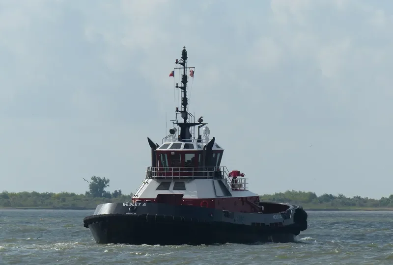 WESLEY A General Cargo IMO 9097628 photo 10