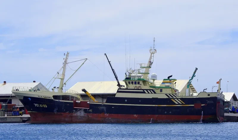 ILLA GAVEIRA General Cargo IMO 9098268 photo 2