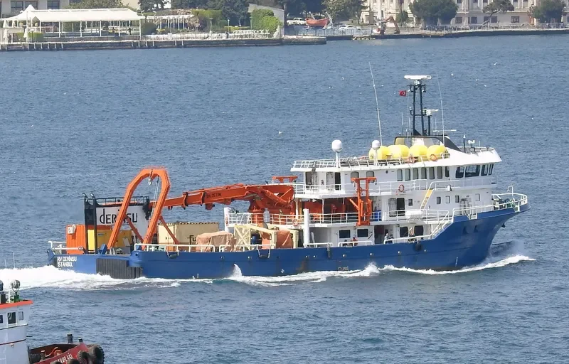 DERINSU General Cargo IMO 9098294