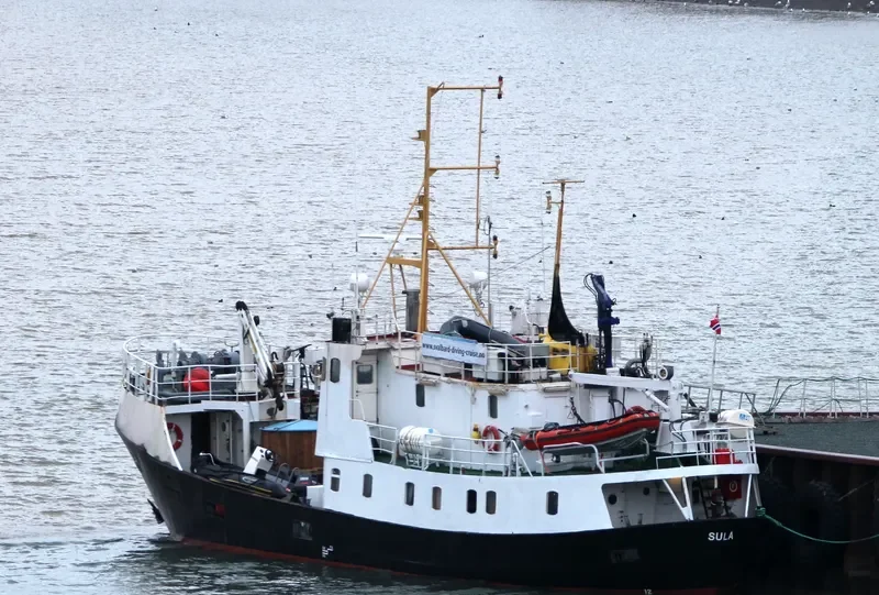 SULA General Cargo IMO 9099133