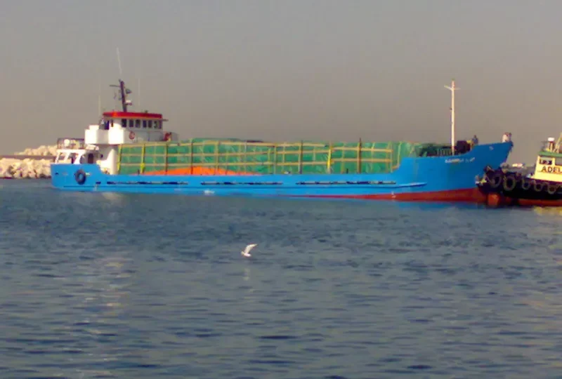 SAMAND I General Cargo IMO 9099169