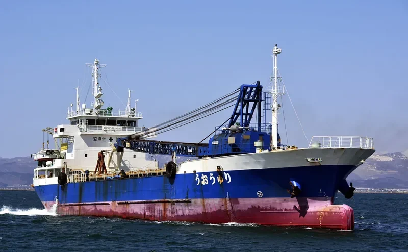 RYUOU General Cargo IMO 9099298