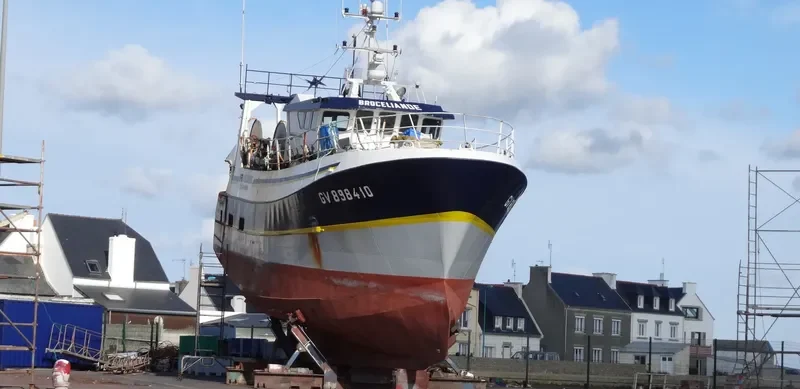 BROCELIANDE General Cargo IMO 9099391