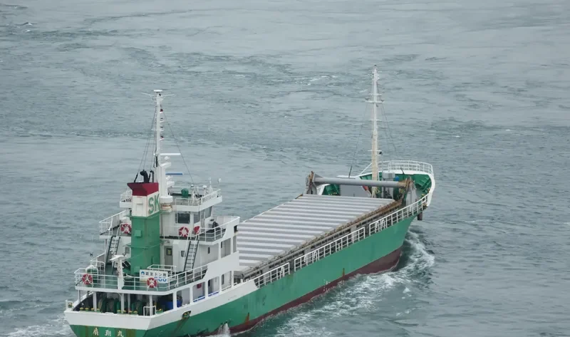 SENSHO MARU General Cargo IMO 9099470 photo 4