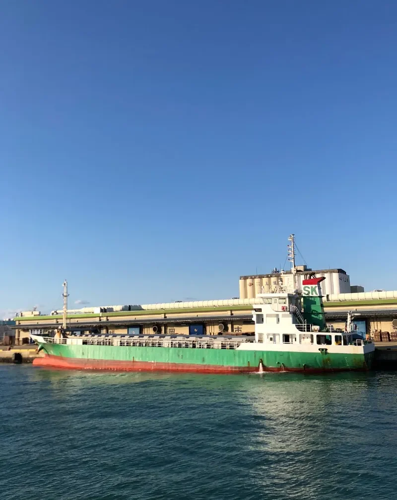 SENSHO MARU General Cargo IMO 9099470 photo 7