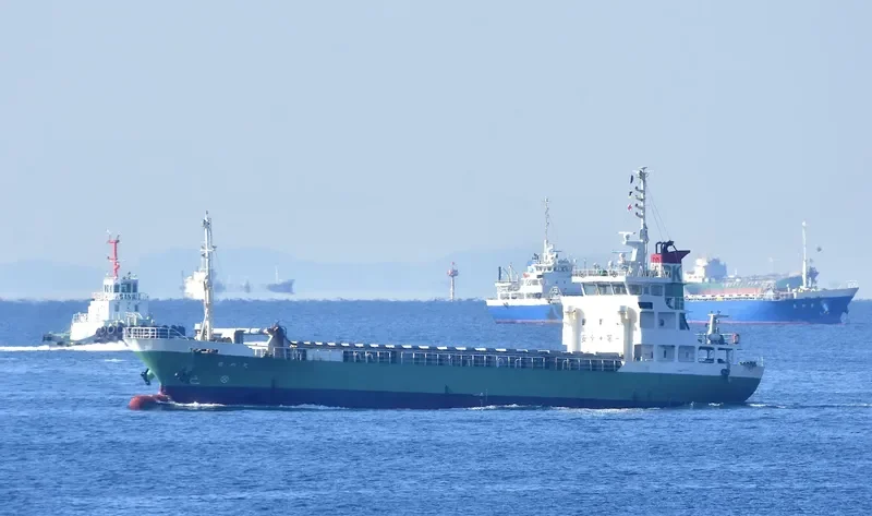 SENSHO MARU General Cargo IMO 9099470 photo 9