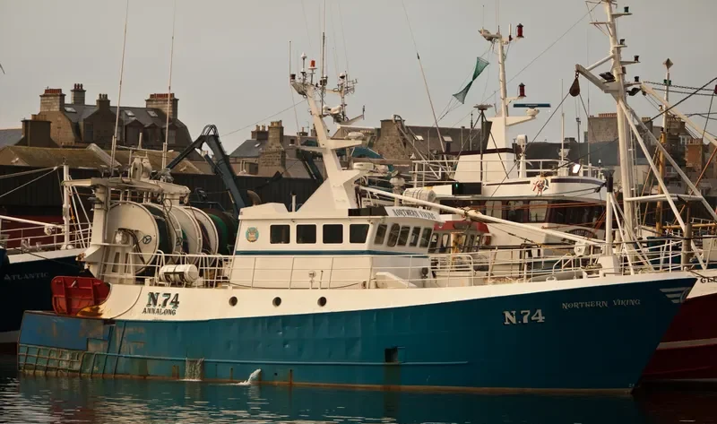 NORTHERN VIKING General Cargo IMO 9099509 photo 2
