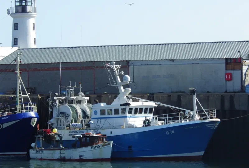 NORTHERN VIKING General Cargo IMO 9099509 photo 4