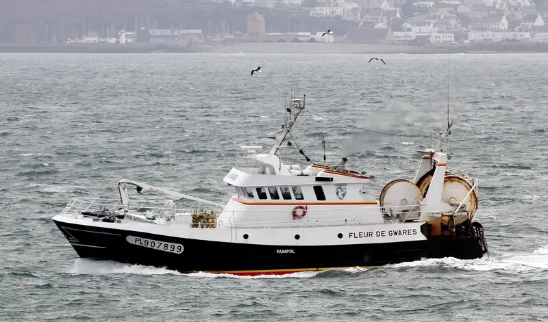 FLEUR DE GWARES General Cargo IMO 9099511 photo 6