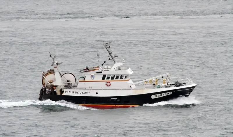 FLEUR DE GWARES General Cargo IMO 9099511 photo 9