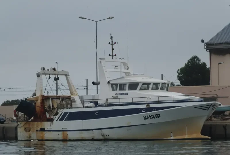 LOUIS ELIE II General Cargo IMO 9099523