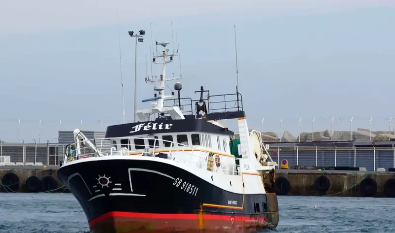FELIR General Cargo IMO 9099547 photo 2