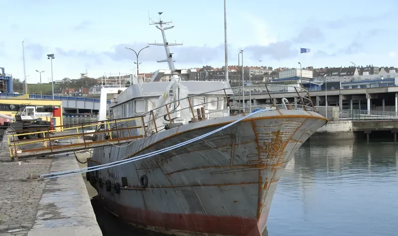 FELIR General Cargo IMO 9099547 photo 5