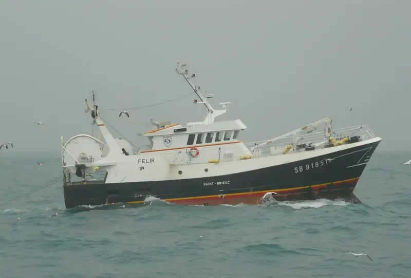 FELIR General Cargo IMO 9099547 photo 9