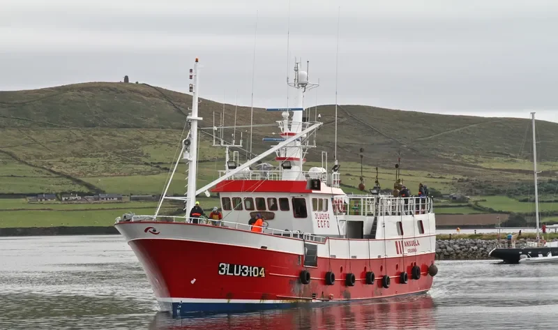 ANXUELA General Cargo IMO 9099559