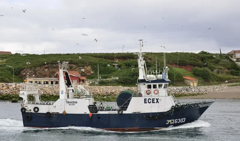 TRAVESAU General Cargo IMO 9099755 photo 7