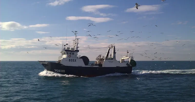 TRAVESAU General Cargo IMO 9099755 photo 9