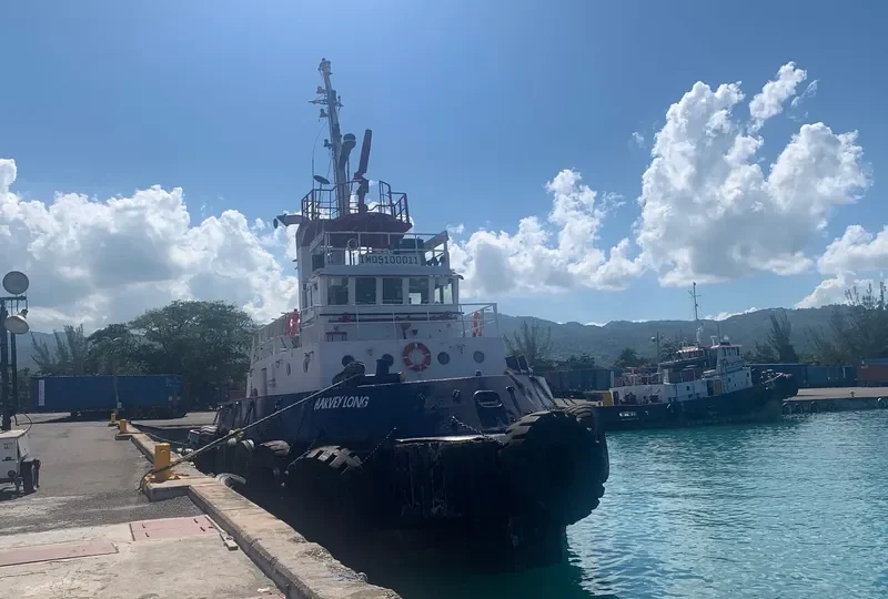 HARVEY LONG General Cargo IMO 9100011 photo 2