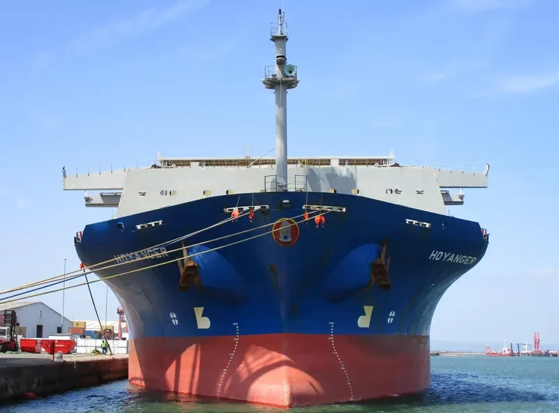 HOYANGER Container Ship IMO 9100073 photo 5