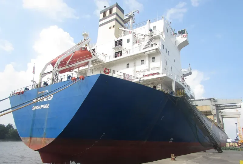 HOYANGER Container Ship IMO 9100073 photo 8